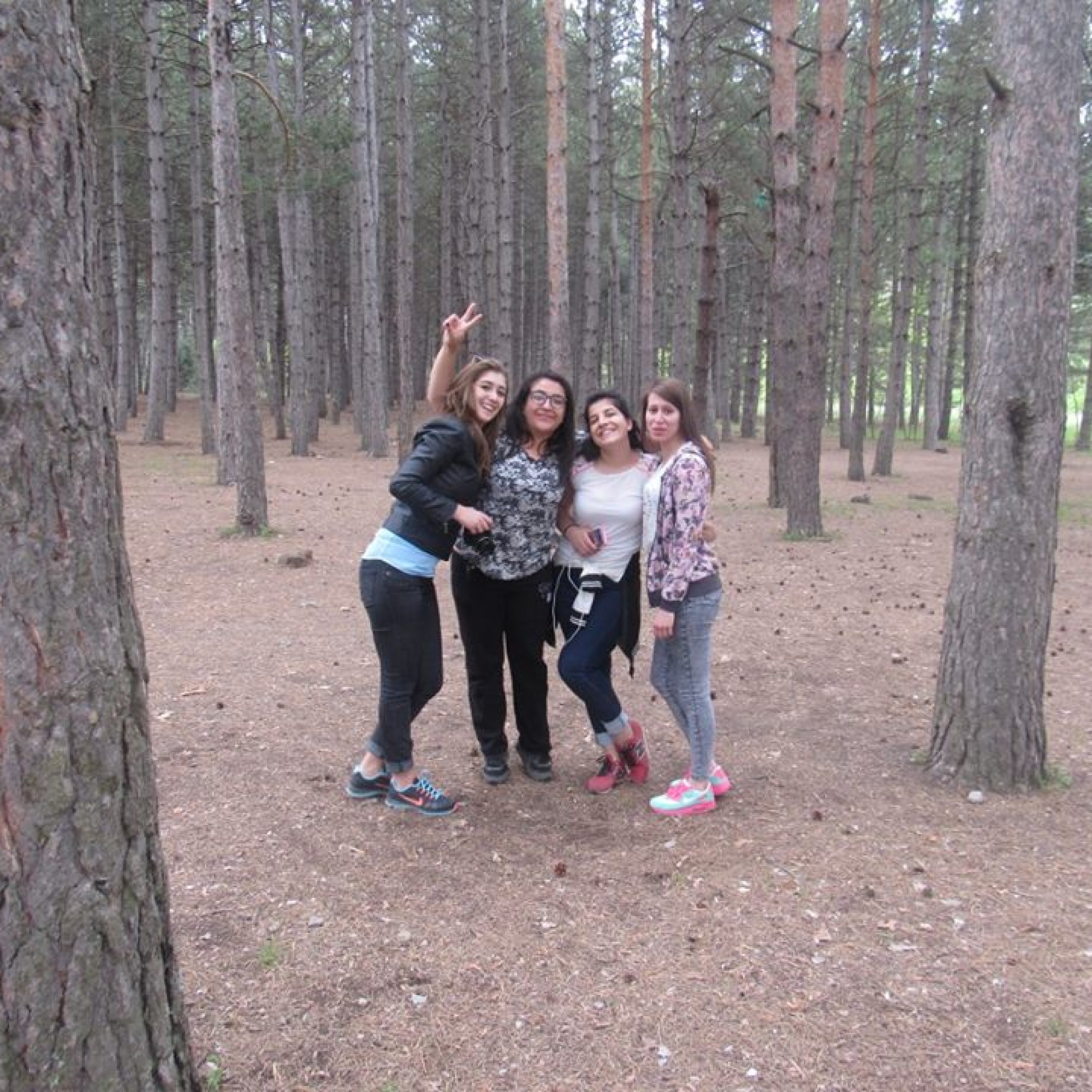 2016 Gölcük Gezimiz